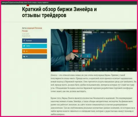 Краткий обзор биржевой площадки Зинеера представлен на сайте gosrf ru