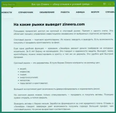 Инструменты для торгов, предлагаемые организацией Zinnera в обзоре на сайте Tvoy Bor Ru